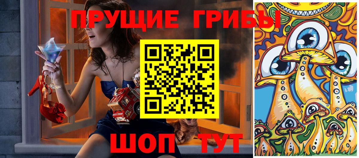Электросталь  Псилоцибиновые грибы ЛСД  Вход с VPN 